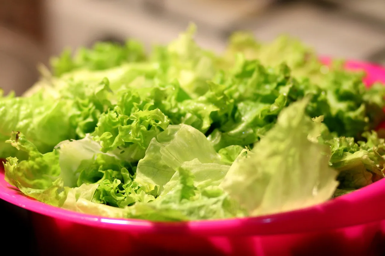 Attenzione a mangiare insalata in busta: ecco cosa può accadere